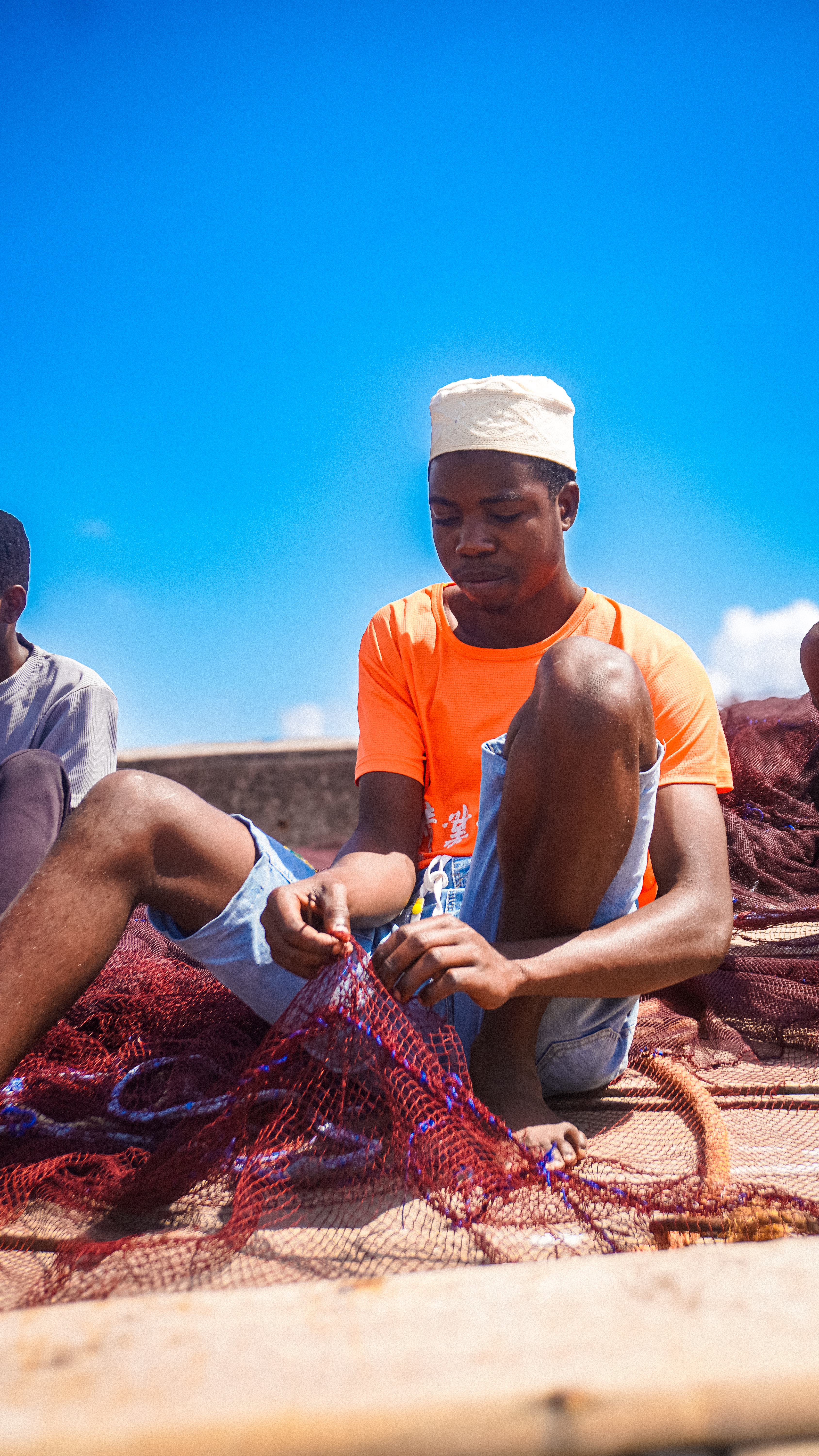 Humanitarian Response and Protection