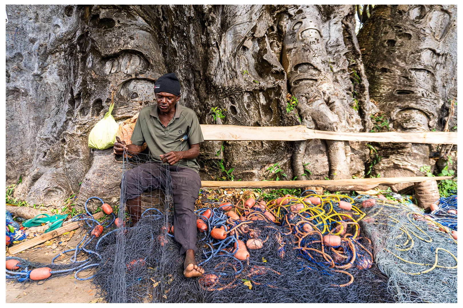 Coastal Livelihoods